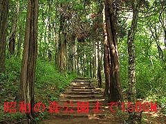 公園　昭和の森公園（公園）まで1500m