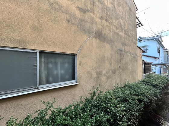 眺望　※別部屋の写真です