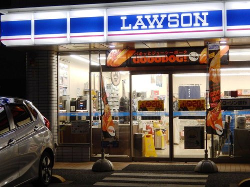 コンビニ　ローソン 新高島平駅南店（コンビニ）まで576m