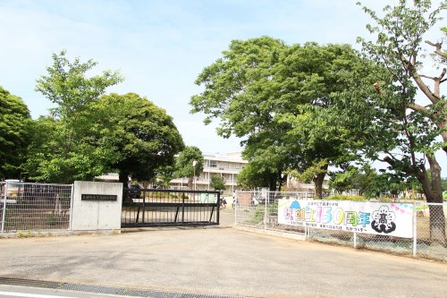 小学校　土浦市立下高津小学校（小学校）まで1477m