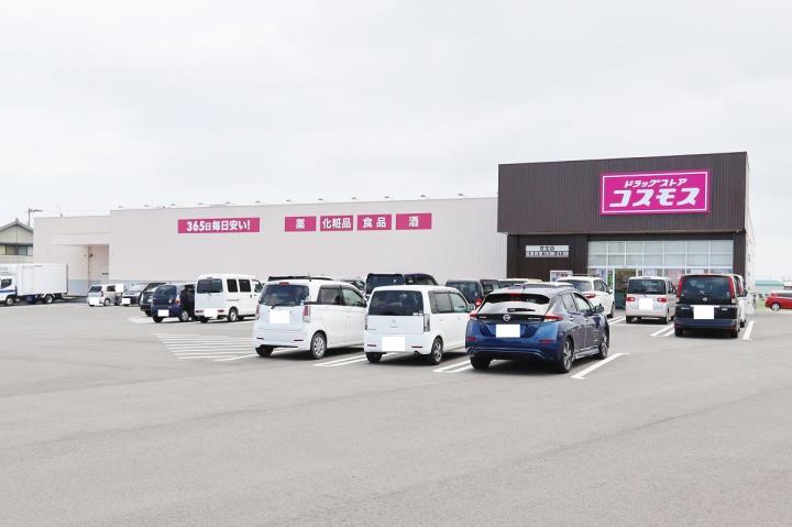 ドラックストア　コスモス 芝生店（ドラッグストア）まで1141m
