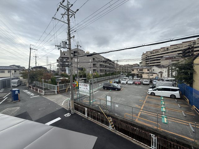 プラシッド ピュールのその他写真