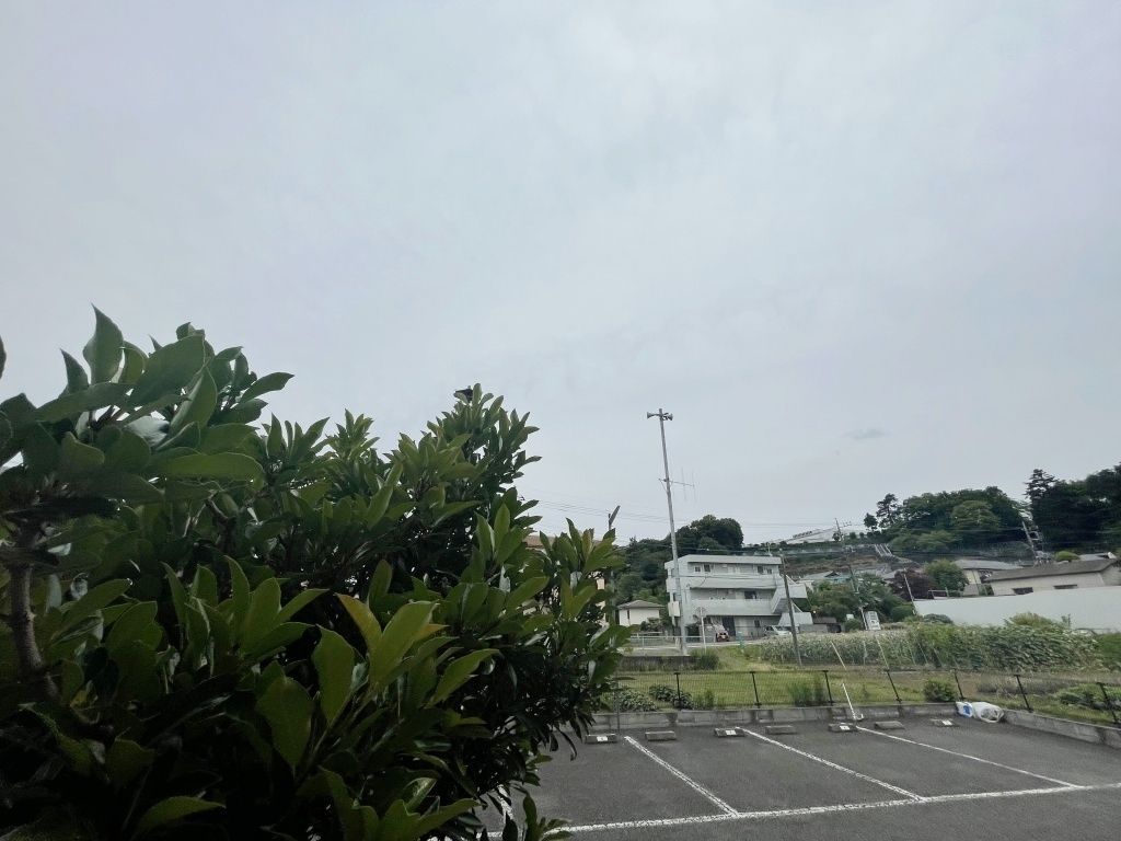 眺望　眺望