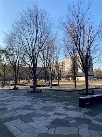 公園　中野区立中野四季の森公園（公園）まで437m