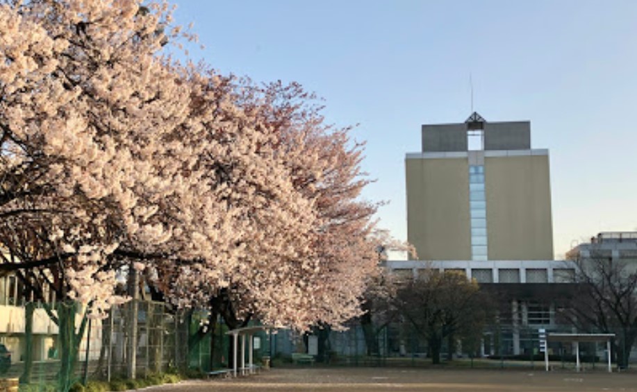 大学・短大　跡見学園女子大学（大学・短大）まで2996m