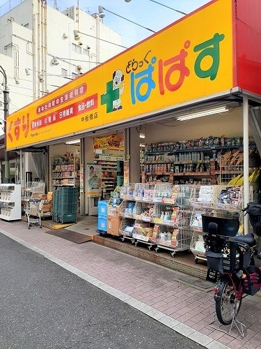 ドラックストア　ぱぱす中板橋店（ドラッグストア）まで260m