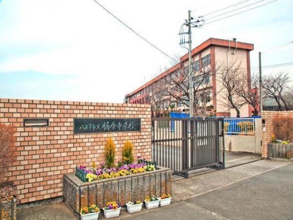 中学校　八王子市立楢原中学校（中学校）まで528m