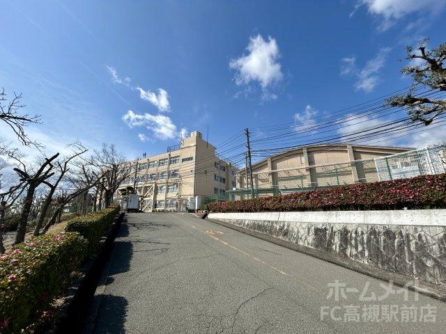 中学校　高槻市立第九中学校（中学校）まで1283m
