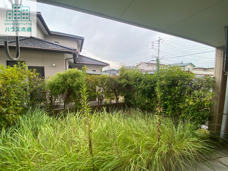 庭