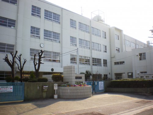 小学校　尼崎市立　清和小学校（小学校）まで117m