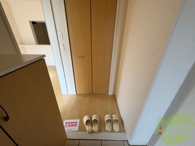 玄関　玄関から撮影しました。明るい印象ですね。