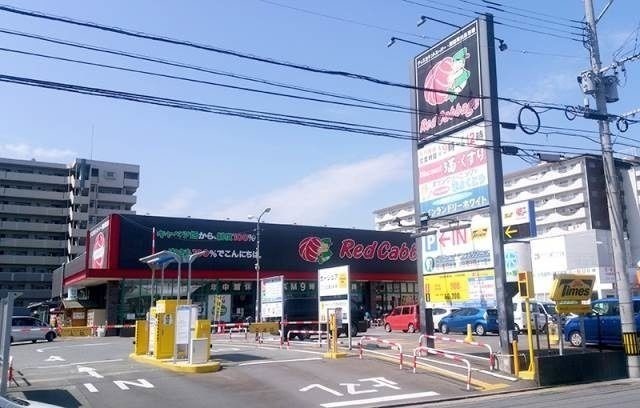 スーパー　Red Cabbage(レッドキャベツ) 博多駅南店（スーパー）まで587m