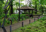 公園　蘇峰公園（公園）まで637m