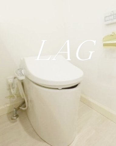 トイレ　トイレです。