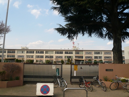 小学校　八王子市立 第六小学校（小学校）まで270m