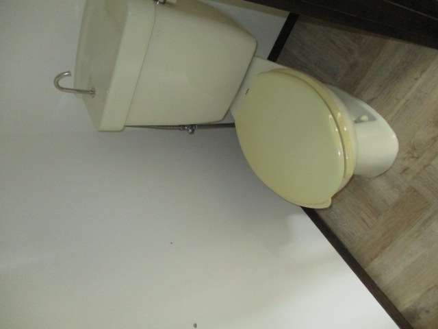椎名ビルのトイレ写真