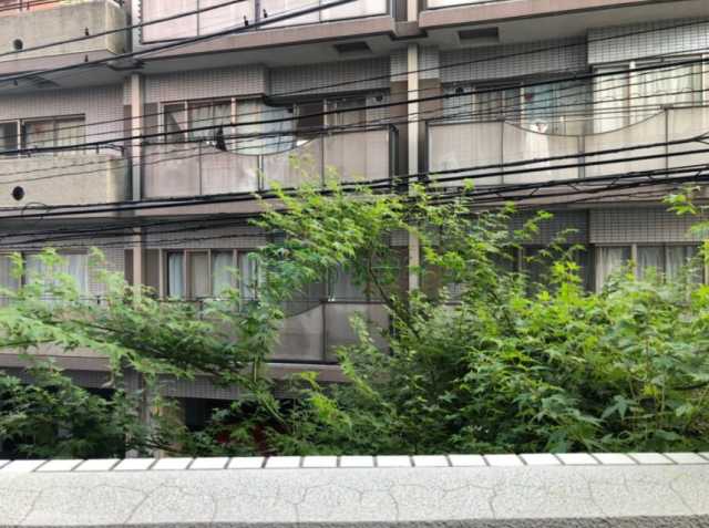 眺望　プラウドフラット小石川(別部屋参考画像)