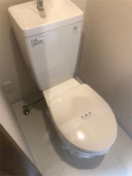 東急田園都市線 二子玉川駅 徒歩14分 2階建 築45年のトイレ写真