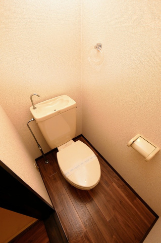 グリーンビュー下祇園D棟のトイレ写真