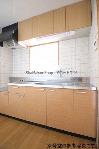 タートルクレインふじみ野II 405のキッチン写真
