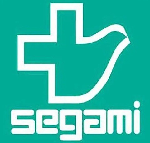 ドラックストア　セガミ薬局 河内永和店（ドラッグストア）まで244m