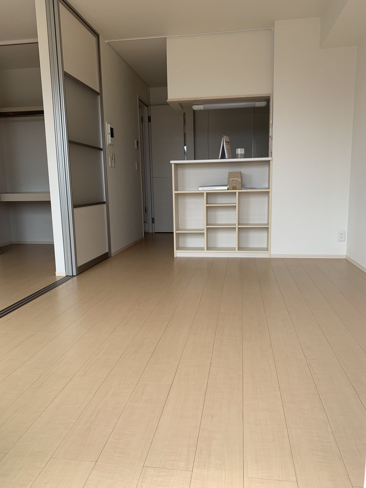 居室・リビング　南向きの明るいリビング