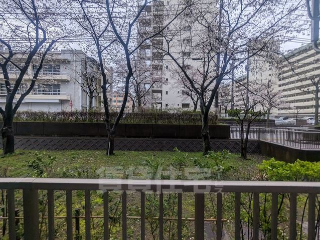 【京都市山科区西野様子見町のマンションの眺望】