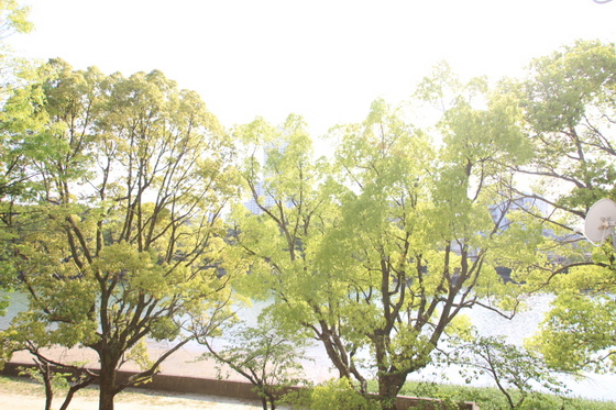 眺望　※別部屋の写真です