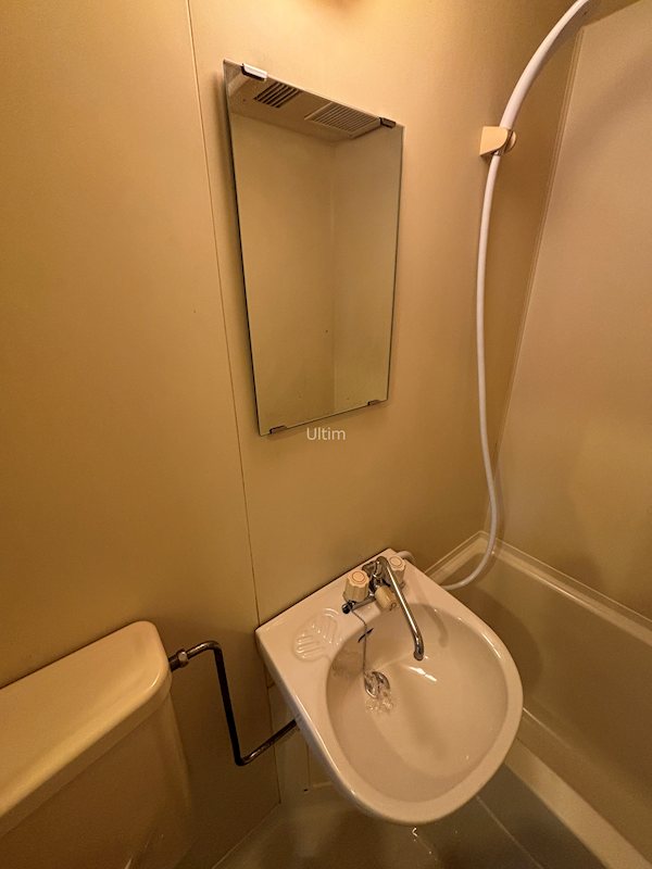 洗面設備　※同タイプの別のお部屋です。