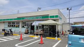 その他　ローソンストア100 LS練馬南大泉五丁目店（その他）まで901m