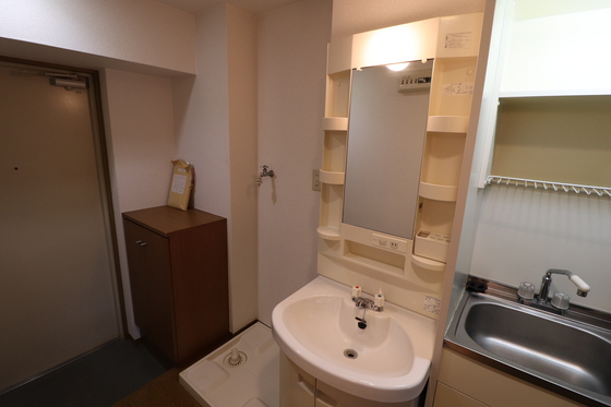 洗面設備　※別号室のお写真です