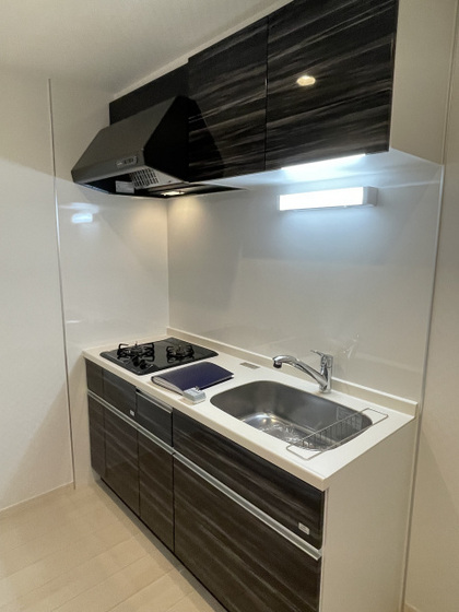 キッチン　※別号室の写真です