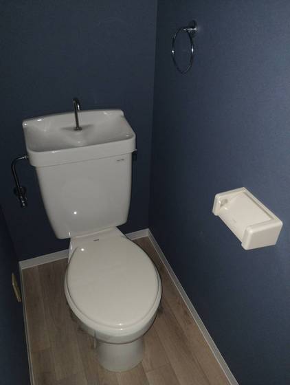 トイレ　※別部屋の写真です