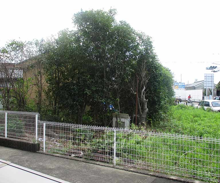 眺望　１０３号室流用です。