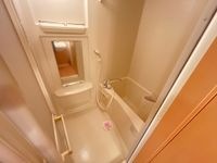 バス・シャワールーム　落ち着いた空間のお風呂です