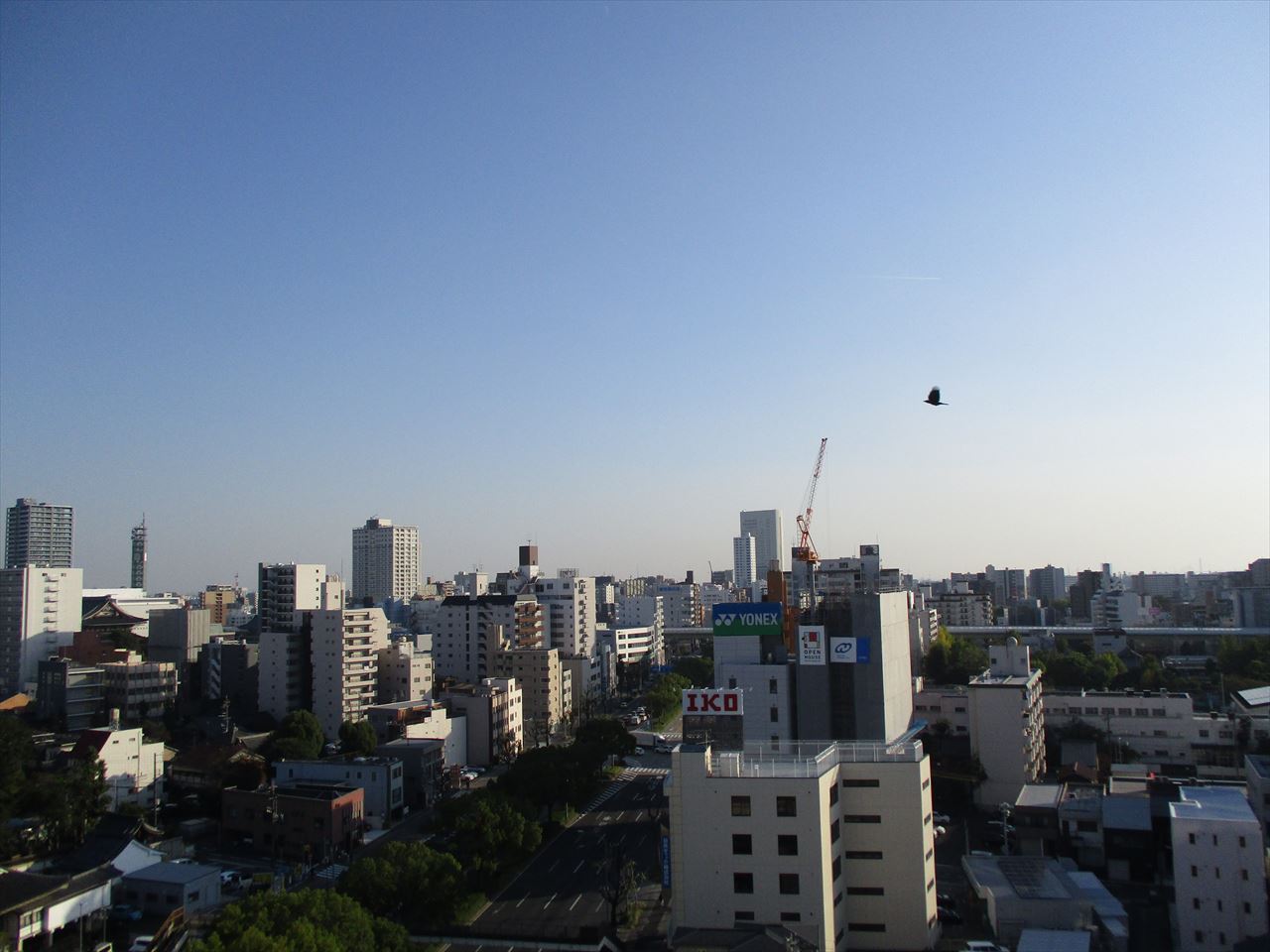 眺望　S-FORT大須観音