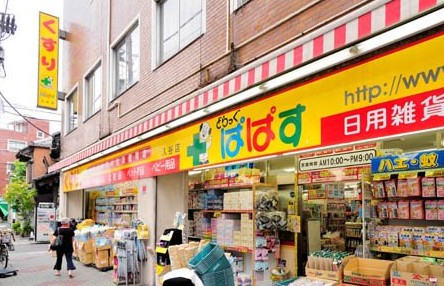 ドラックストア　どらっぐぱぱす入谷店（ドラッグストア）まで434m