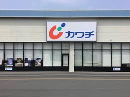 ドラックストア　カワチ薬品本庄店（ドラッグストア）まで1138m