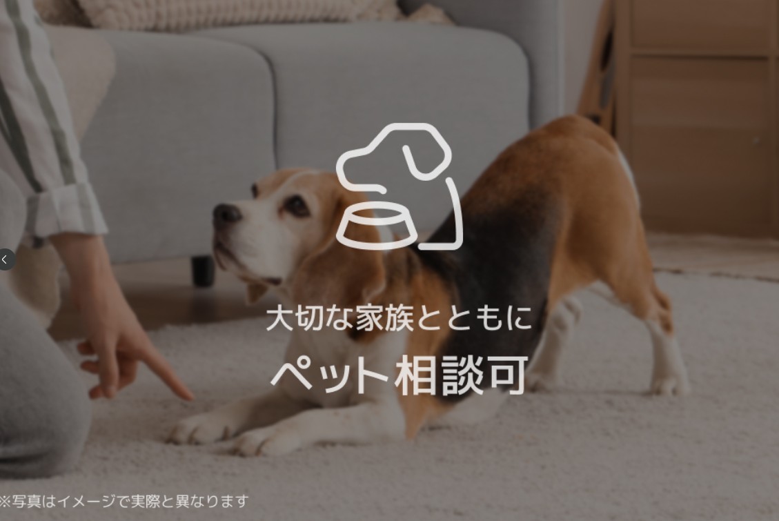 その他　小型犬1匹迄相談可