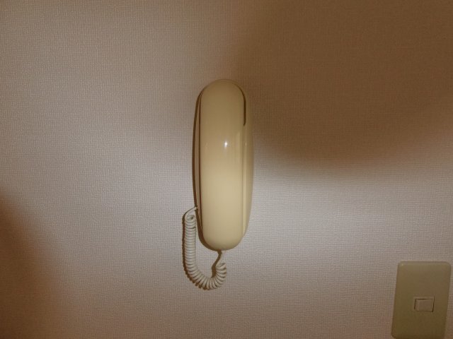 セキュリティ　103の写真（間取同タイプ：イメージ）