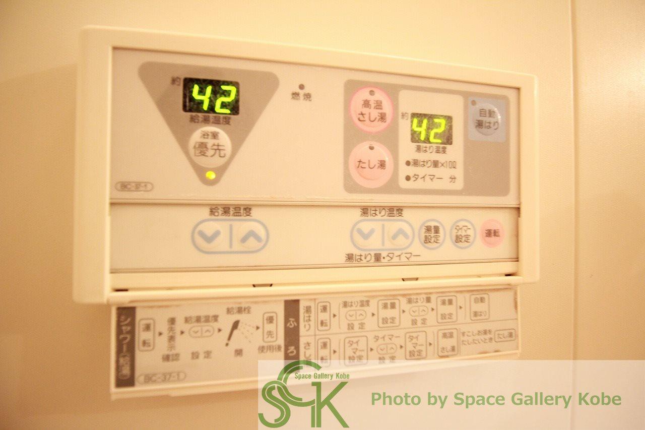 ヴェルドミールステラのその他写真