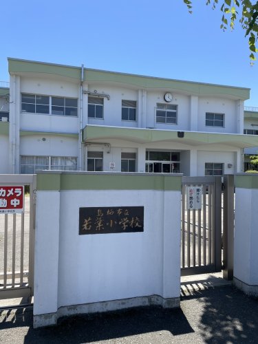 小学校　鳥栖市立若葉小学校（小学校）まで722m