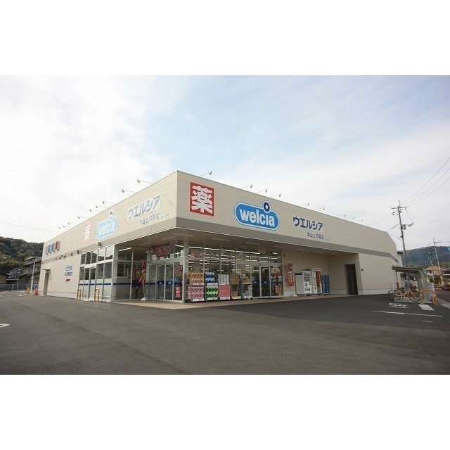 ドラックストア　ウェルシア津山上河原店（ドラッグストア）まで450m