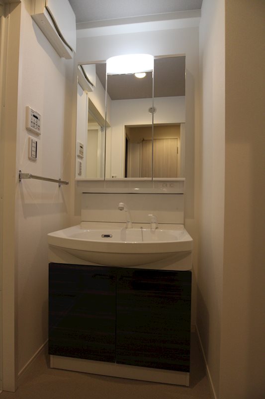 洗面設備　※別号室の写真です。