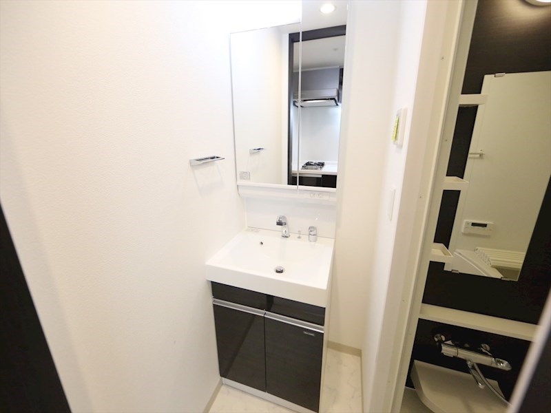 バス・シャワールーム　脱衣所　独立洗面台（シャンプードレッサー付）収納スペース有