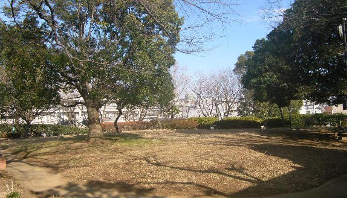 公園　大倉山公園（公園）まで315m