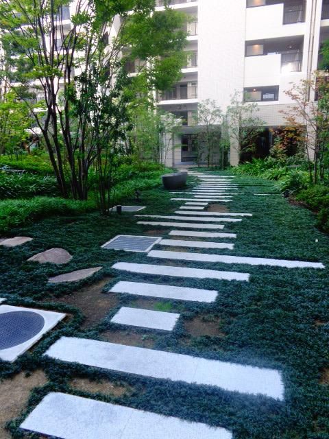 庭　植栽