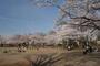 公園　府中公園（公園）まで306m