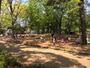 公園　府中の森公園（公園）まで1465m