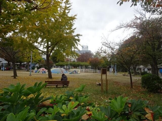 公園　西深江公園（公園）まで231m